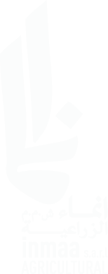 inmaa logo